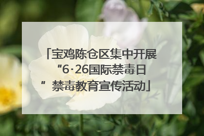 宝鸡陈仓区集中开展“6･26国际禁毒日”禁毒教育宣传活动